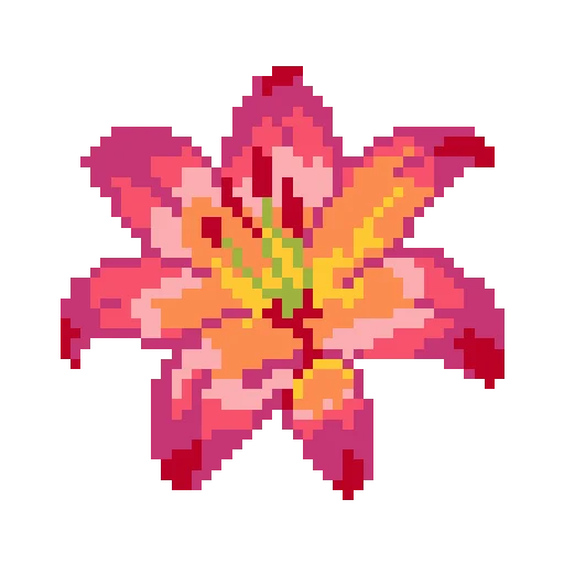 Pink Lily Flower preview